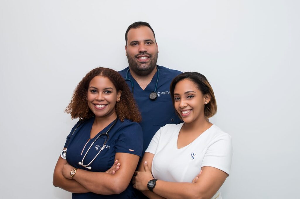 WellVet Veteran Healthcare Services Team