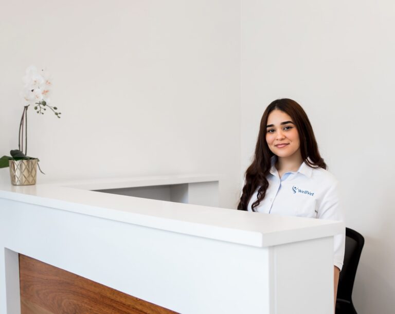 WellVet Team - Veteran Healthcare Services in the Dominican Republic